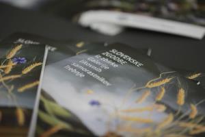 GLS Trebnje, Razstava v DS, foto Alenka Strazisar Lamovsek (2)